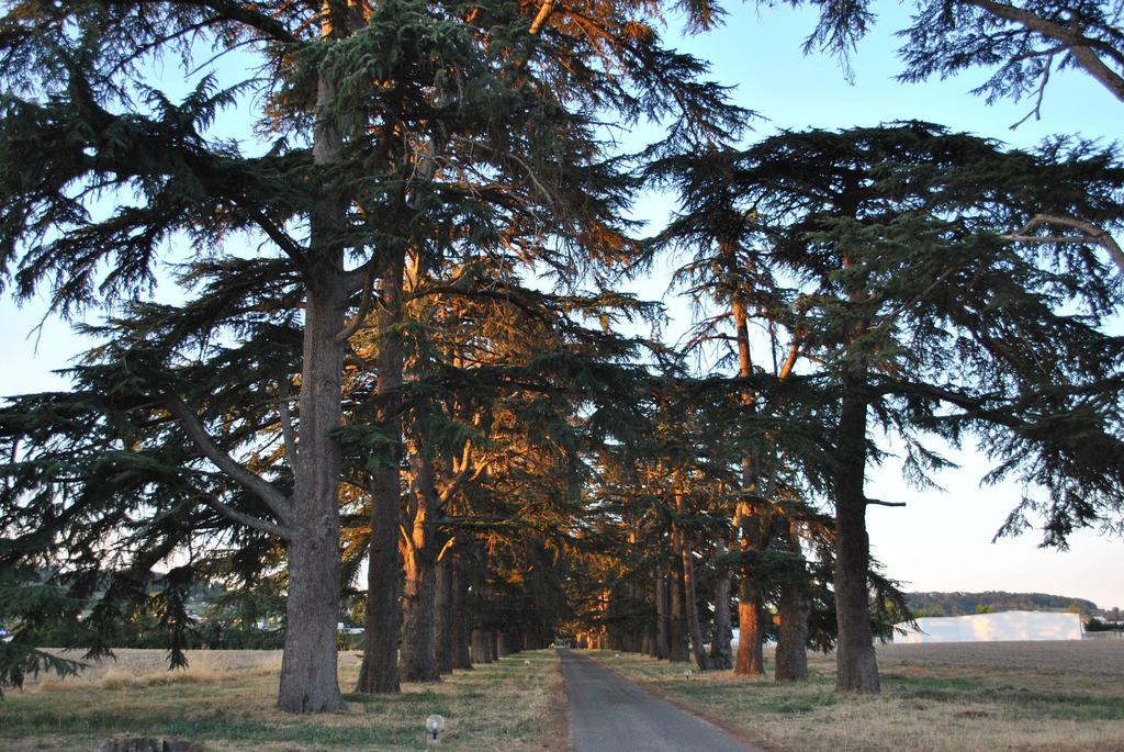 Logis Château Saint Marcel Boé Exterior foto
